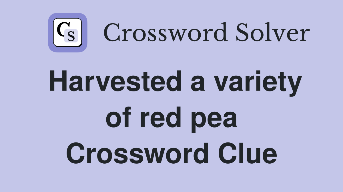 Harvested a variety of red pea Crossword Clue Answers Crossword Solver